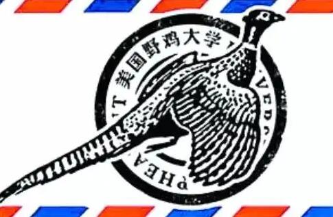 美国野鸡大学有哪些？2022又曝光9所野鸡大学——八分饱