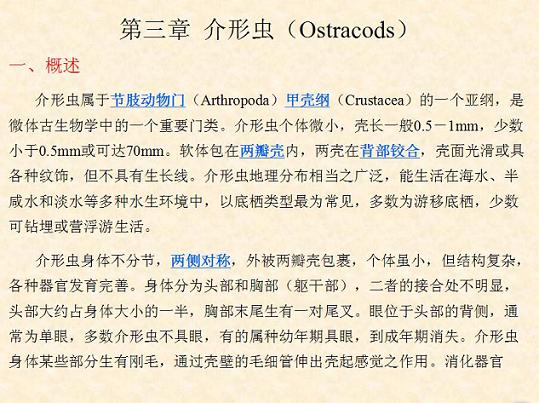 介形虫ppt课件（共70页）——八分饱