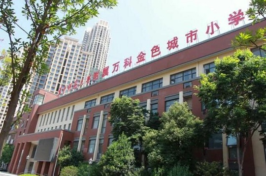 白沙洲小学哪家好？还不如周边县城读小学——八分饱