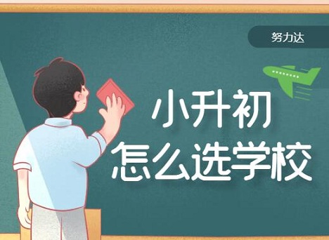 小学升初中怎么选择学校？八分饱也聊聊——八分饱