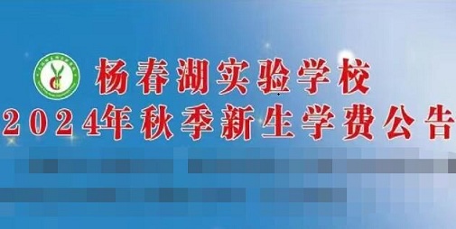 2024年武汉杨春湖实验学校学费多少？涨价了！——八分饱